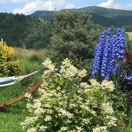 Osada Chyze Jewki Villa Cisna Dış mekan fotoğraf